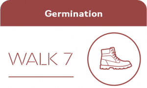 T1002021 Germination walk