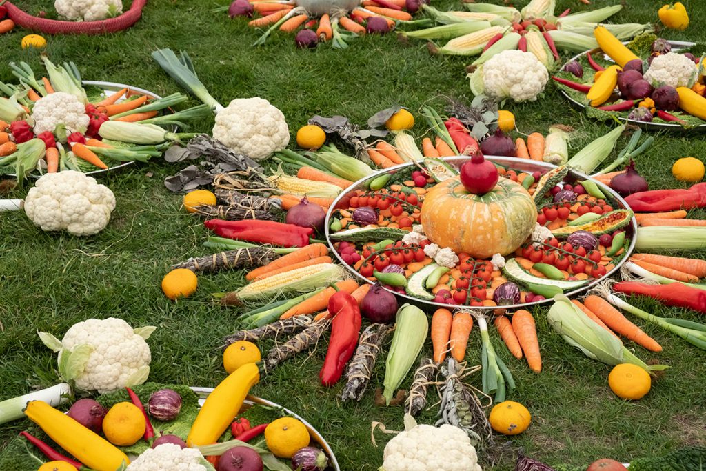 vegetables arranged on the grass