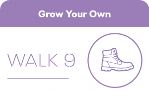 Walk 9 Grow your own