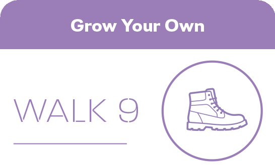 Walk 9 Grow your own