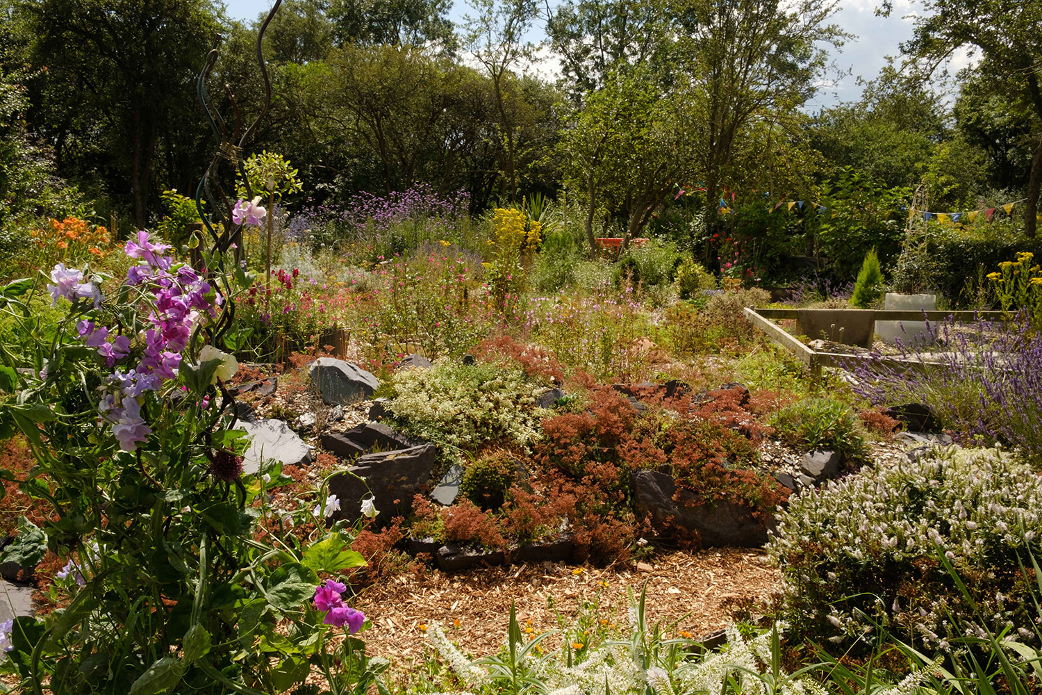 Langdon Hills community garden