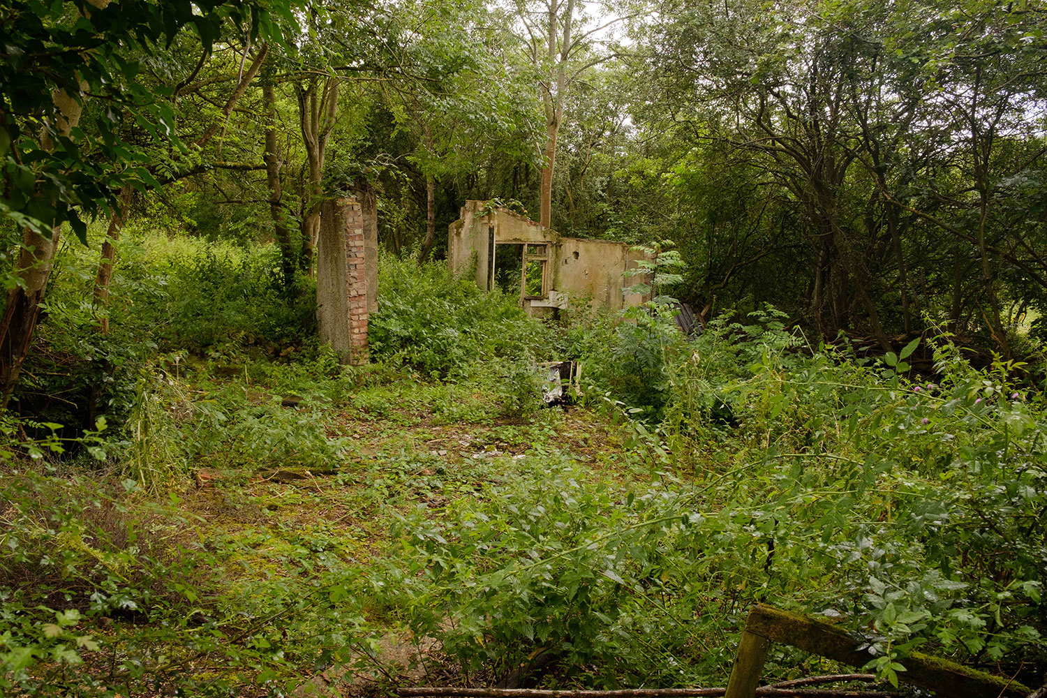 Remains of a plotlands dwelling at Langdon Hills